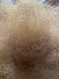 Certified European WCT Pure White Curly Horsehair Premium Ultra-Soft