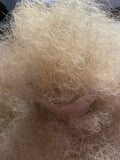 Certified European WCT Pure White Curly Horsehair Premium Ultra-Soft