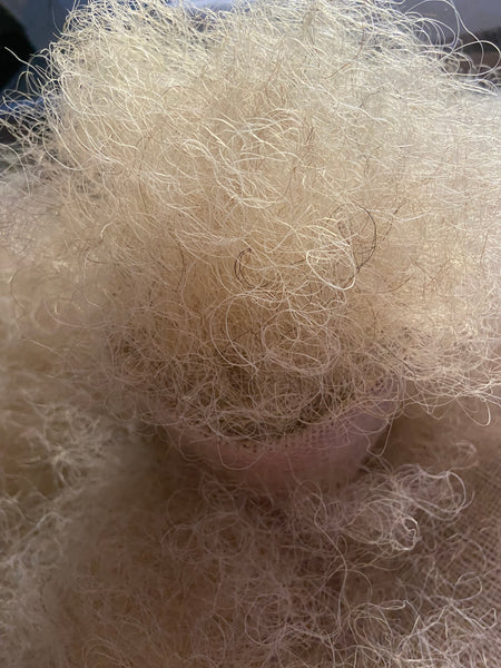 Certified European WCT Pure White Curly Horsehair Premium Ultra-Soft
