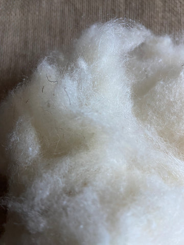 Combing  waste Bluefaced Leicester (BFL) wool 70%/Tussan silk 30% untreated fibers for Felting and Creative Arts - GreenHuiz