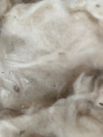 Kapok Fiber - GreenHuiz