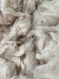 Kapok Fiber - GreenHuiz