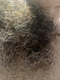 European Quality MCT Loose Curly Horsehair Stiff