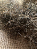 European Quality MCT Loose Curly Horsehair Stiff