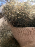 European Quality MCT Loose Curly Horsehair Stiff